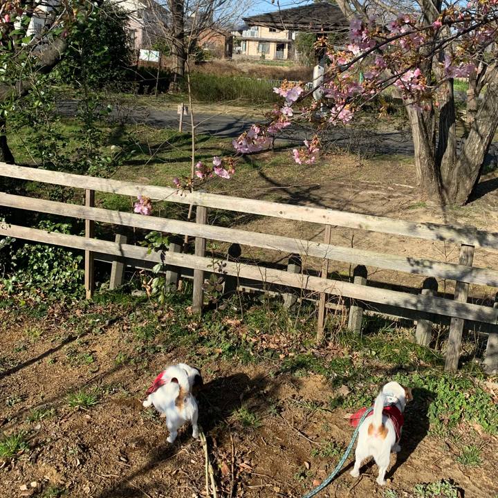 E2183f94 d58c 4957 a104 d01ebb96e0cd 1582510518156