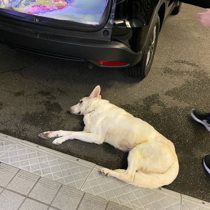 E2188f9f ce8f 4ac8 9082 e108389b749b 1603462278427