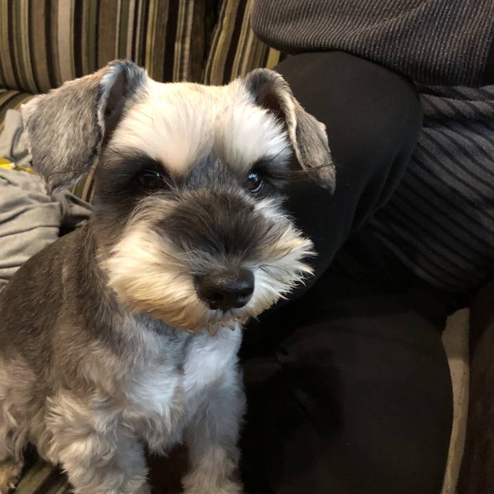 E218b852 558d 4b31 8d2e f902c54d270b 1514070799735