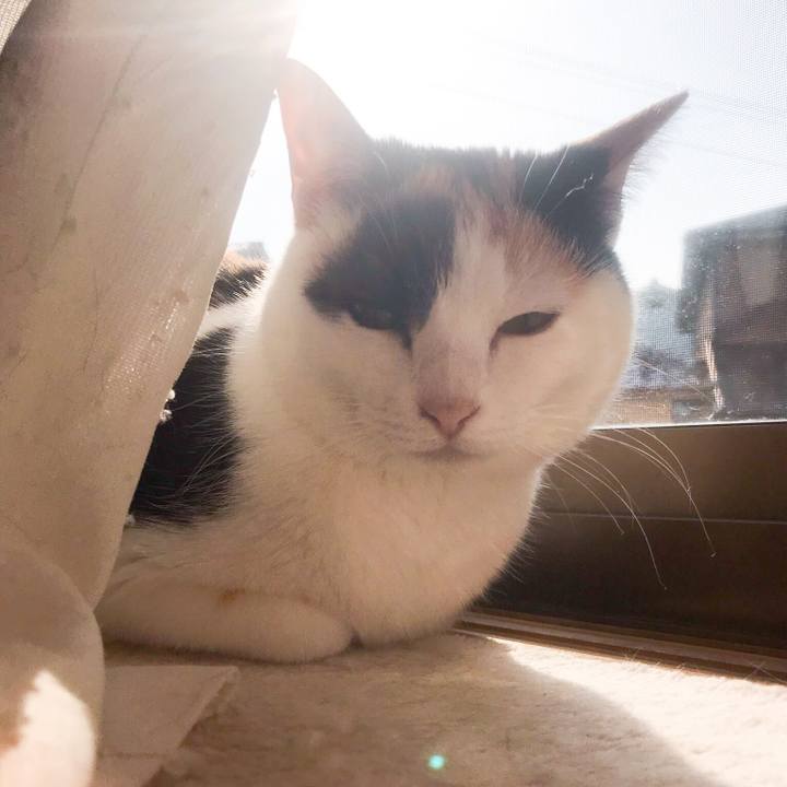 E218b8f8 5602 42c1 a224 59d100ac48b2 1522716739620