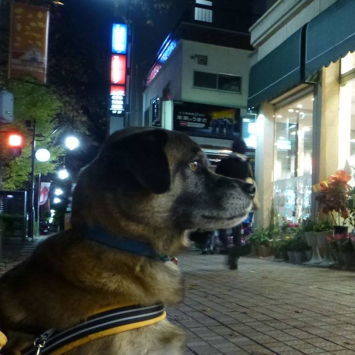 E218d79d 7c03 4c57 af85 2afbda3be7e5 1580942362620