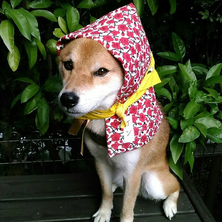 E21931e4 3c2c 4f1d 9ee8 c5889dd0c2a7 1567322912946