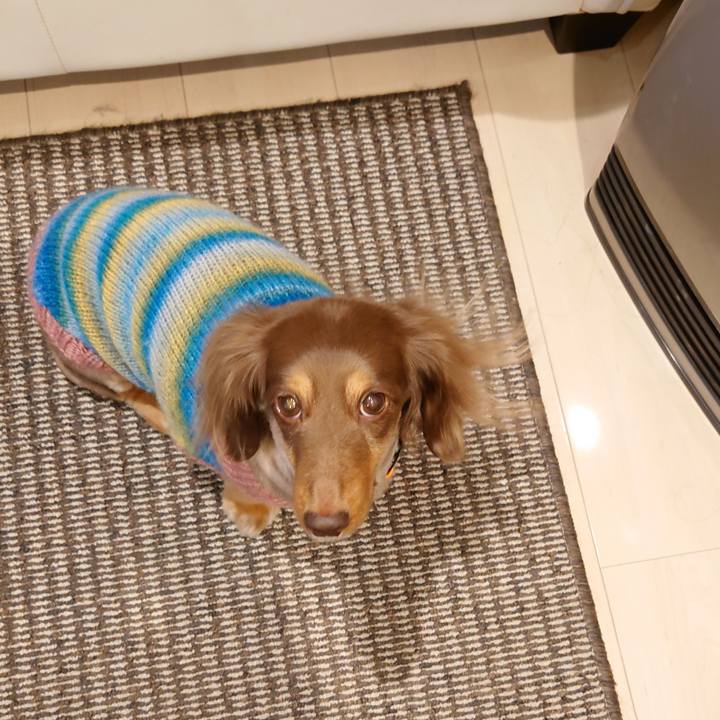 E21934c8 c03b 42fe 935b ede708b8122d 1672319902889