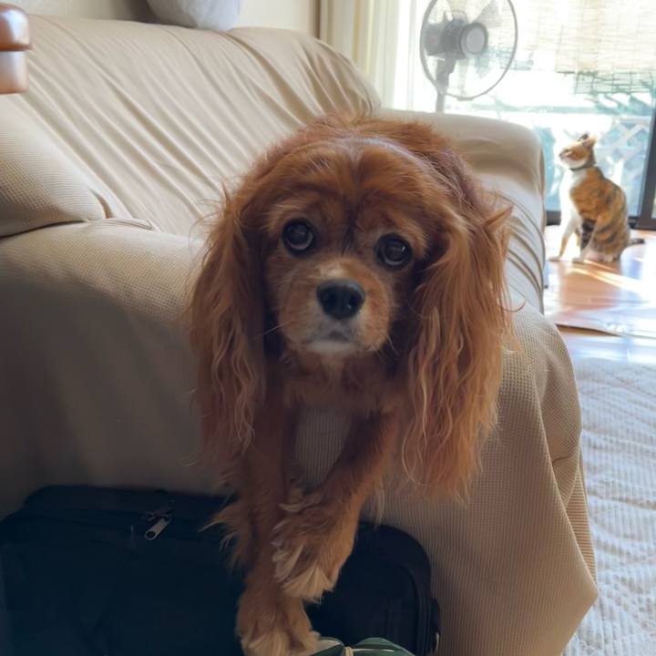 E2193f09 04a1 43e1 84a4 162df78d9cbb 1694303277391