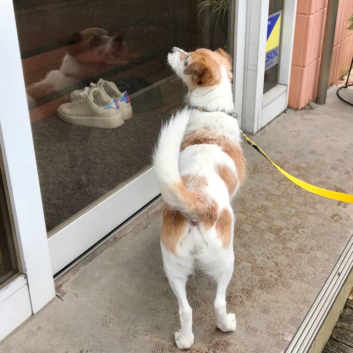 E21941e9 3555 47b0 a977 43907ab5331f 1623641490106