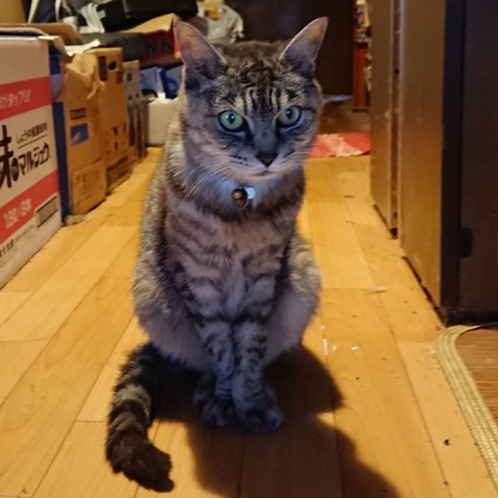 E2195f37 14d0 4695 ba1f 4f638fc9a0d9 1568366125040