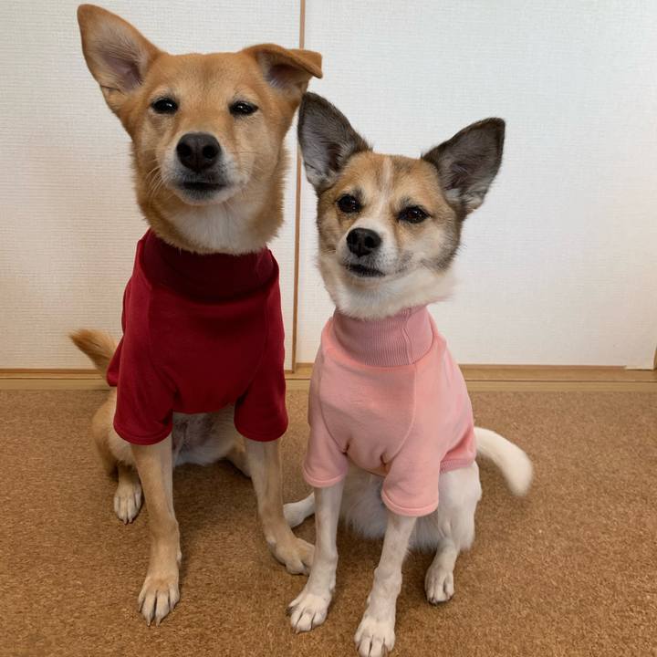 E219670e af01 4609 aba8 10bd960fb40e 1577802861786