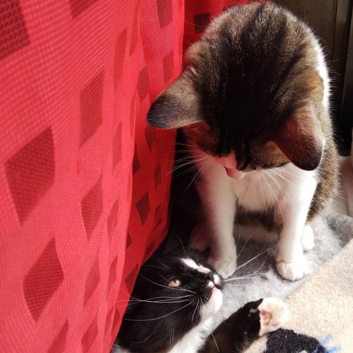 E2197585 8de2 488f 84f5 8ee12704576f 1646273268289