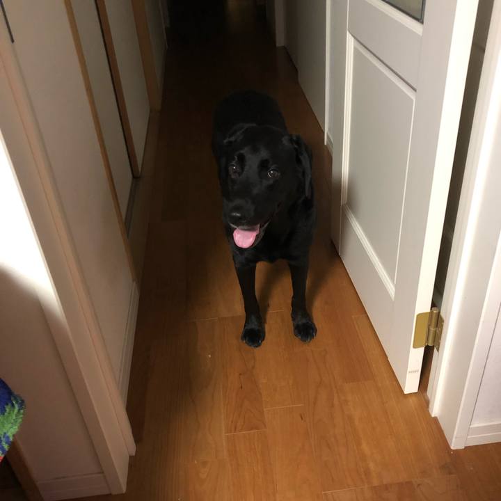 E21979bf 3bae 4c78 acc4 8c5c607944c1 1633872605509