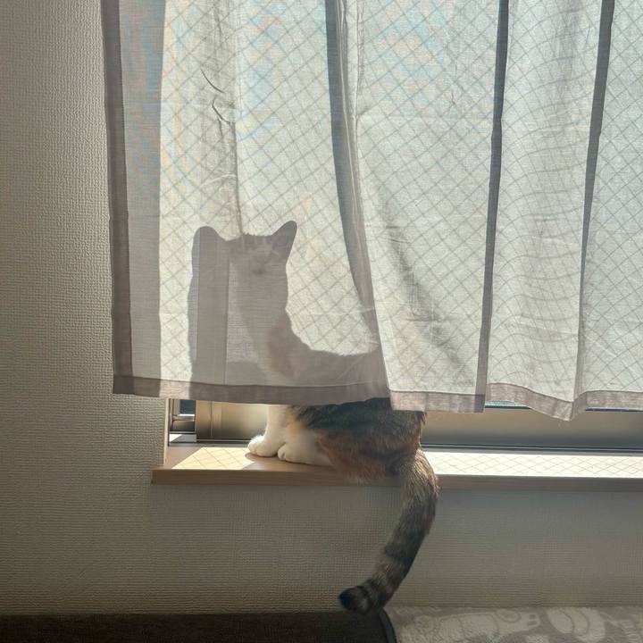 E219aa24 537f 4d00 b505 f33456407af9 1763519781264