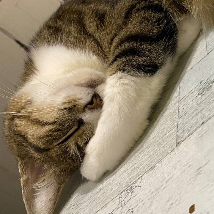 E219f65f 2fd1 4687 a3e2 1dc00eb39437 1660956968133