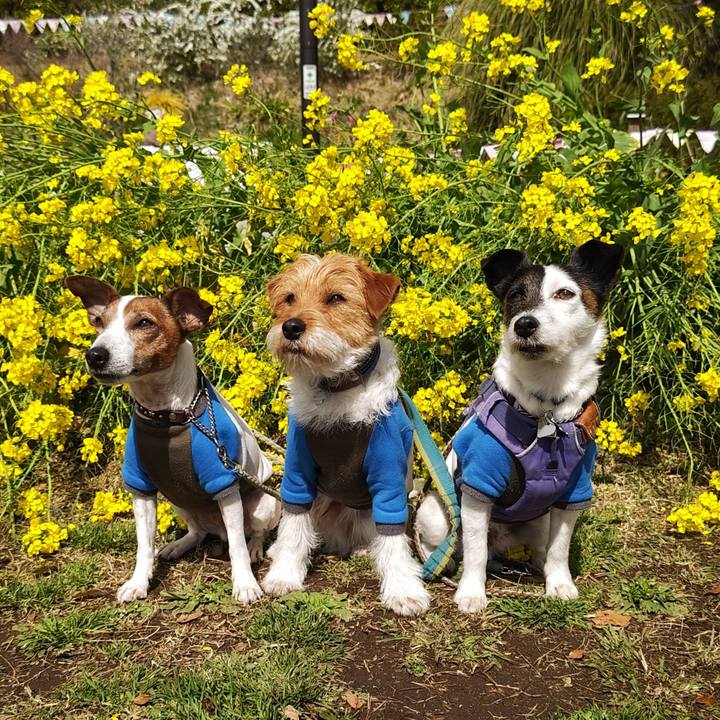 E21a550f 1b42 40cb 8cc5 e87e4910efaa 1742440976479