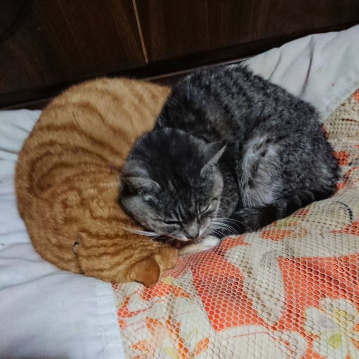 E21a6fc8 217d 4144 bffa 88b47d6ac54d 1580903609061