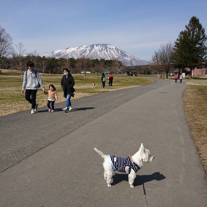 E21abdba 0a10 4564 8ce6 503a09e98cbe 1522636870912