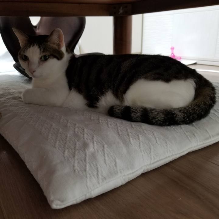 E21ae2d8 1d27 4620 9d03 d339574a5d79 1613511093673