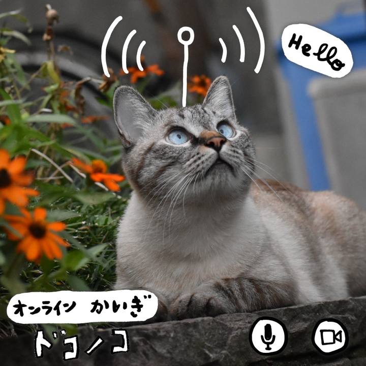 E21ae373 6ef9 42e7 ab78 c244b311eb75 1590704123090