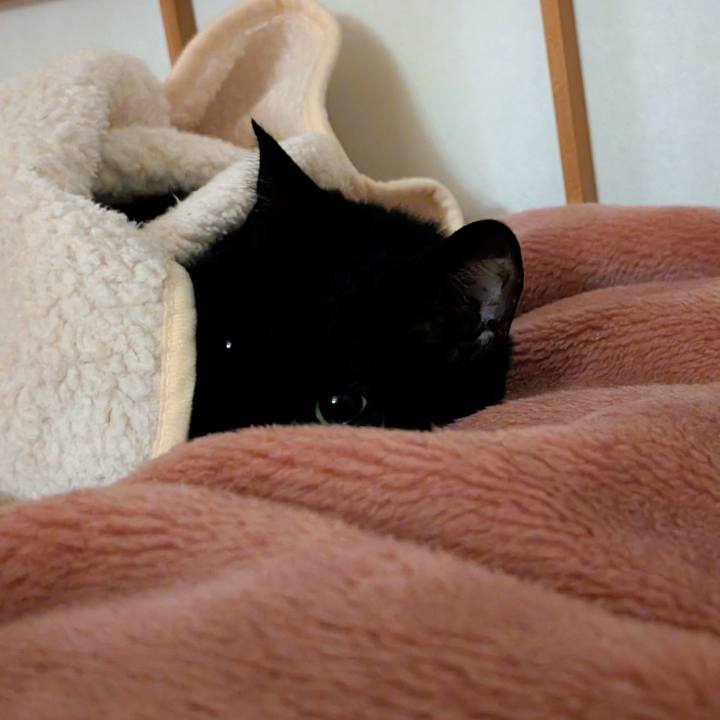 E21b336e c6dc 4442 9fbf 477e966fbb97 1770505421604