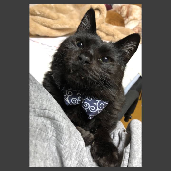 E21b3494 02d8 4409 a494 fc35a63d97e5 1586185671224