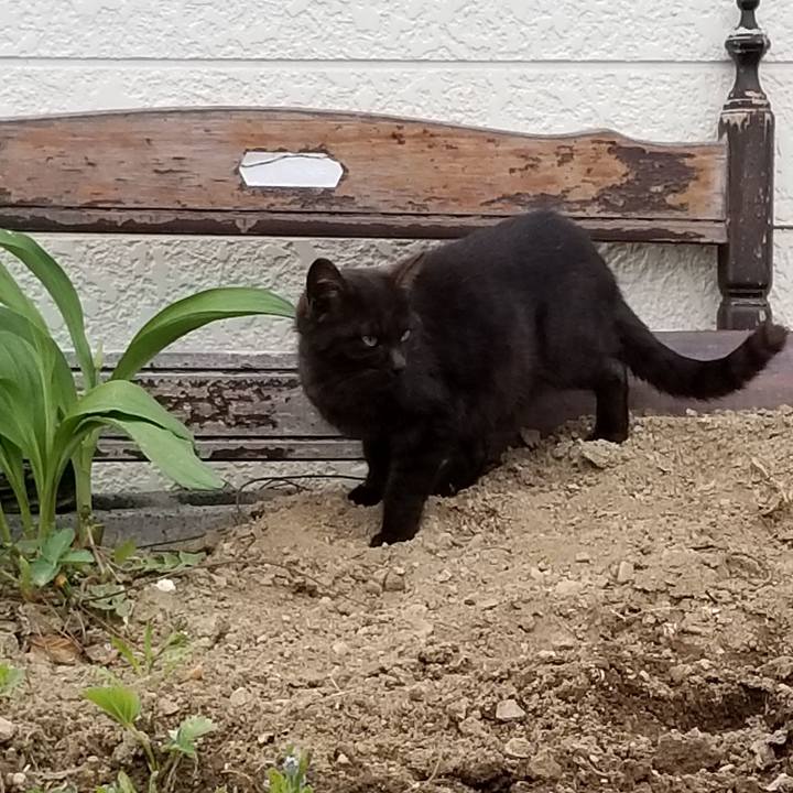 E21b460b fd7b 4b33 9245 cc2ef6a1b051 1558429911979