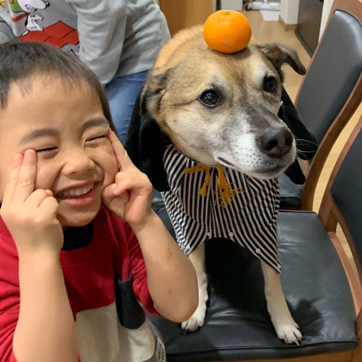 E21b4c41 9f8a 41a9 9f0c 47e6e8800394 1546406623375