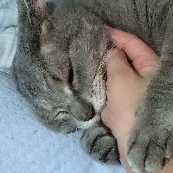 E21b535a ebf6 41eb 8cf4 36eb69dc795d 1632334788586