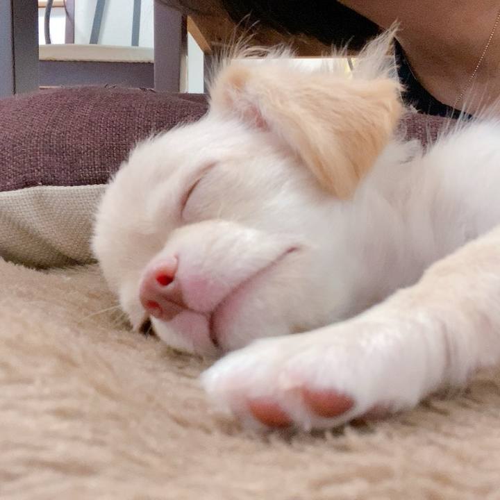 E21ba01f c2ce 4d7c a298 d4aae15bcd00 1744381151536