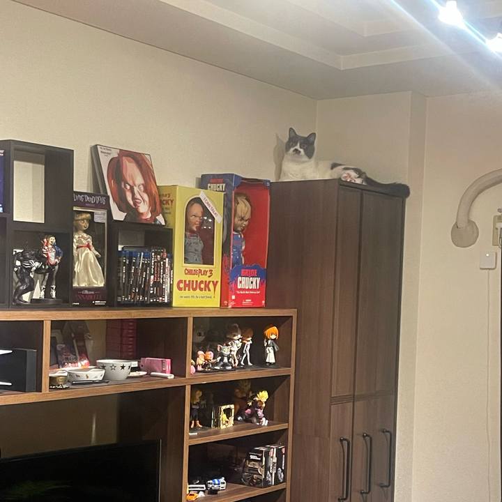 E21ba7d9 46c5 4308 bb28 6011934c71af 1725016240655