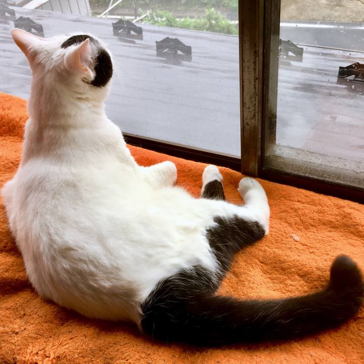 E21bb944 3e98 4be6 a5a6 ed95d2790277 1563611679669