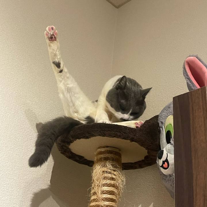 E21c1836 c790 4300 a826 e00405c50bcf 1742490706446