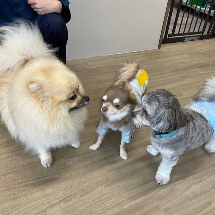 E21c2981 2829 4aa7 b4b4 a49d7c6755cc 1685361809367