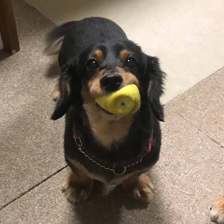 E21c52e8 5a71 49c7 b1a6 aec242f05497 1542404844127