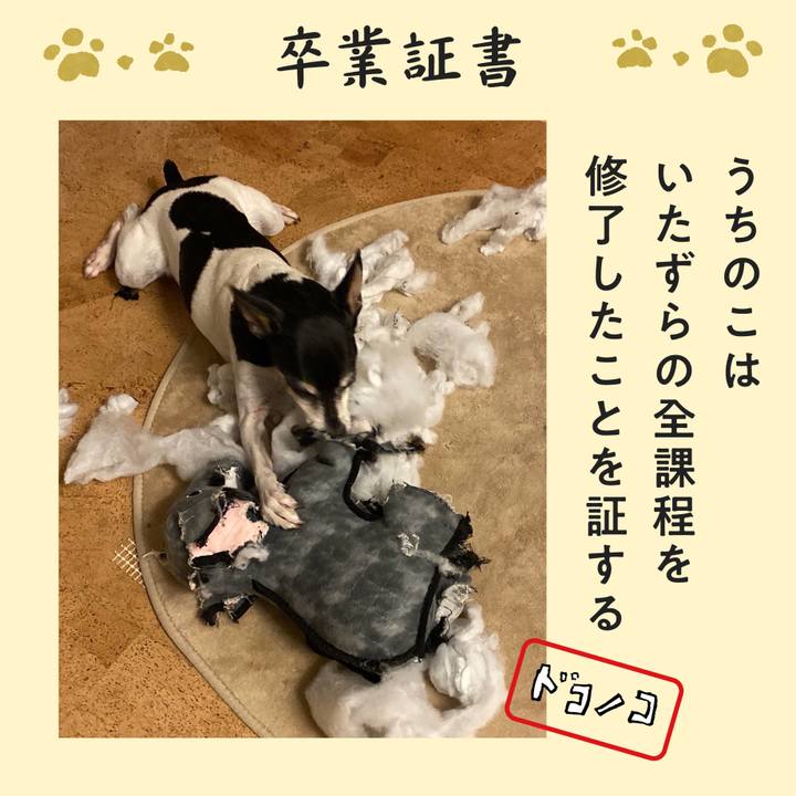 E21c92d1 6078 4b2f 8ea5 d63efea5392c 1771910748997