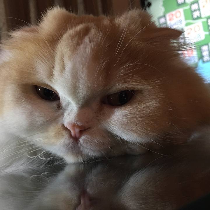 E21ccdae 8d72 4dd5 9a9f e607c8329601 1523528360152