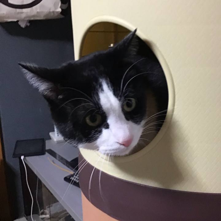 E21ced0b 663b 4cb7 87c5 8552d3c45d73 1674729622887