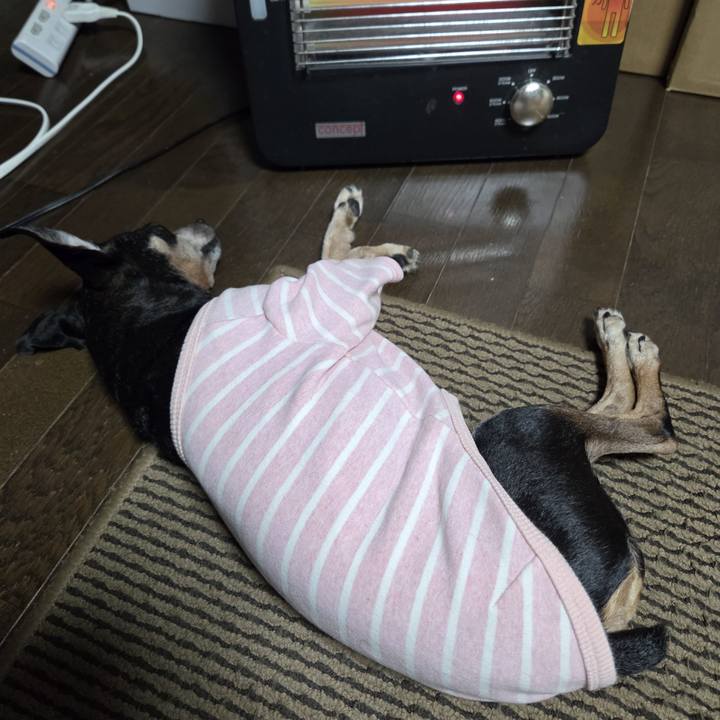 E21d17d8 38e4 4726 8331 38a5f986f69a 1762249216287