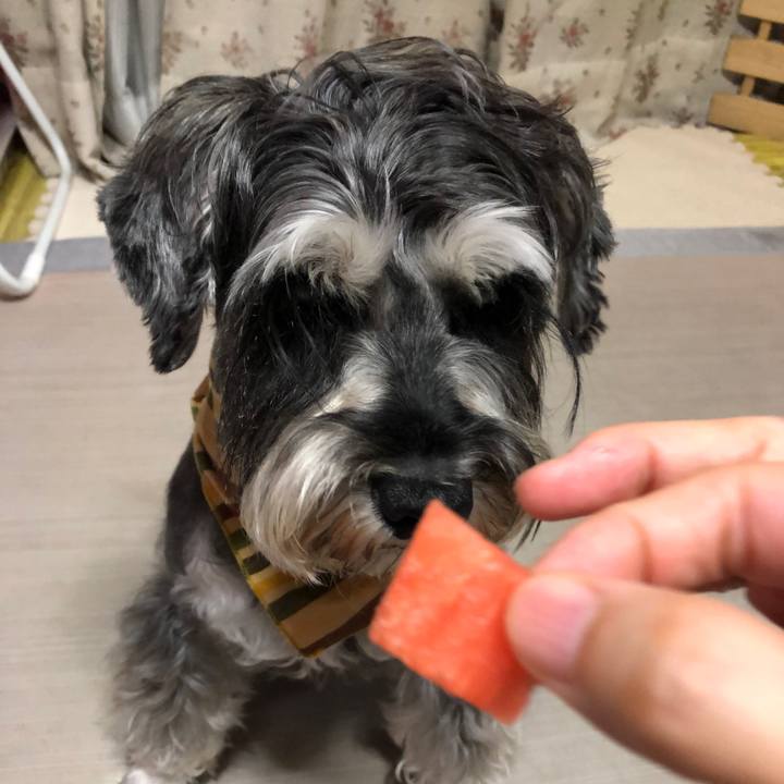 E21d3225 4a11 4544 afee 405625df02de 1627995024711