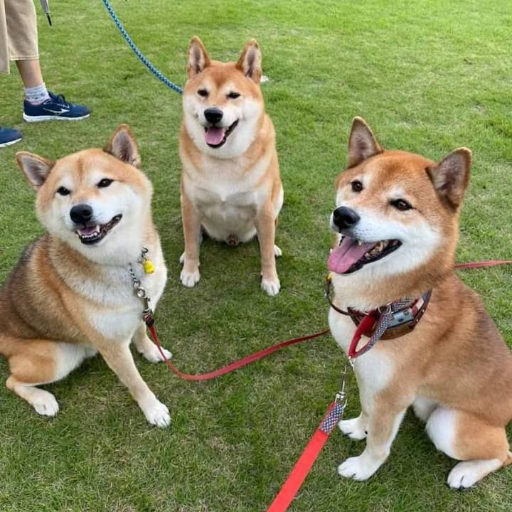 E21d48ca fcab 4aa5 a66a aae10f430a3f 1662984658591