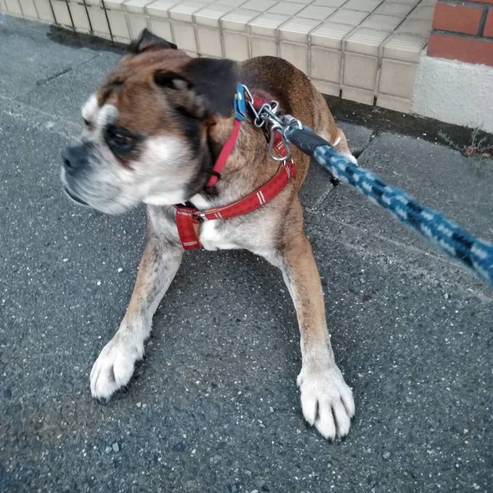 E21d6f1c 522e 4bf0 8c08 e2caee7ea8ad 1533818238545