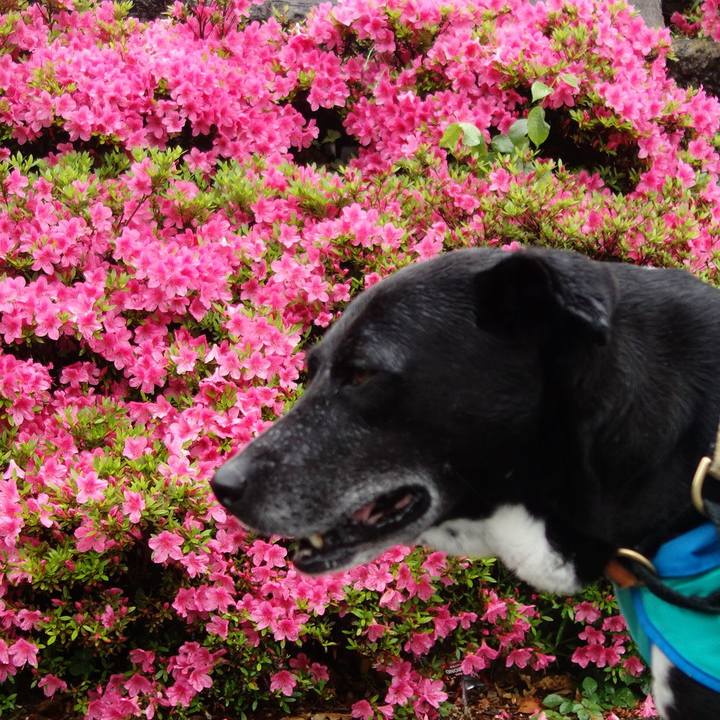 E21d7186 e7e1 473d aee6 749f9740e1d5 1684111674637