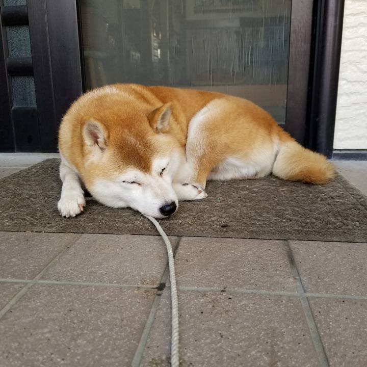 E21d908f fa92 47c1 99df 9ebb72cb9082 1633132518261