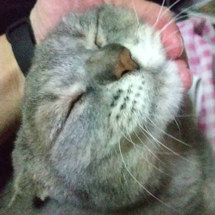 E21dd74b 4799 41b6 8619 2daa1b5d2d0e 1722550379434