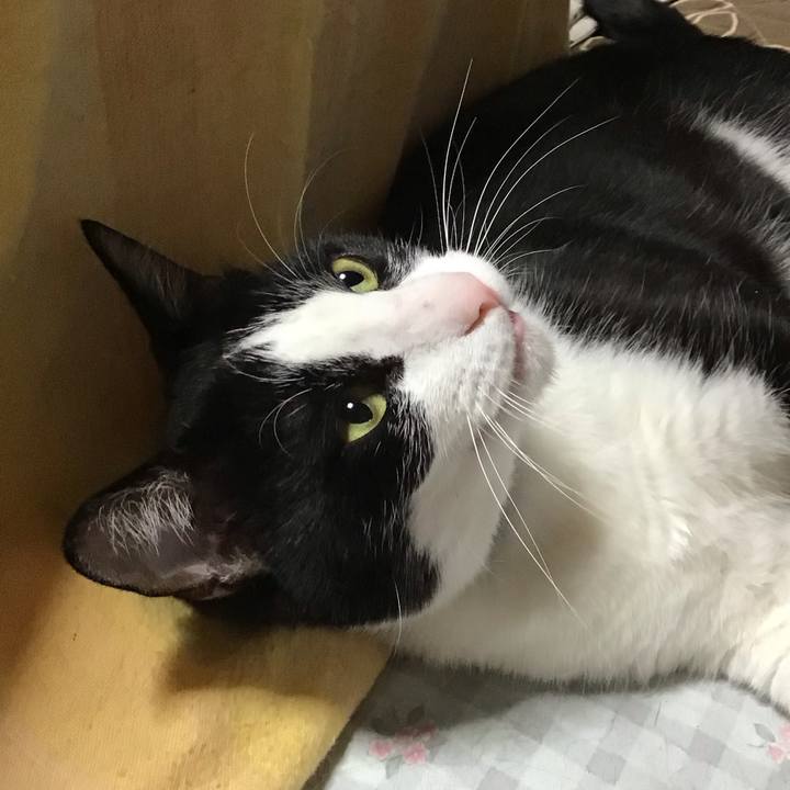 E21ddc6b 7fa7 4384 bee7 82e2c66fc32e 1685695496790