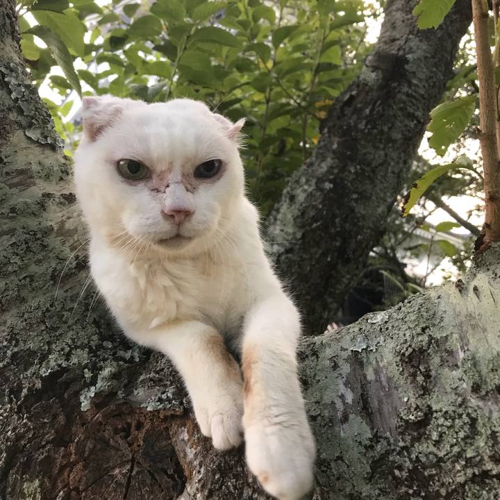 E21df5ee b9f8 4670 ae7d 0f615d9b18b1 1532320752290