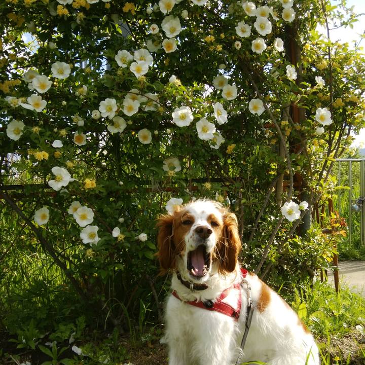 E21df8e8 5515 488f b45c a6ba71a0bf19 1525048024309