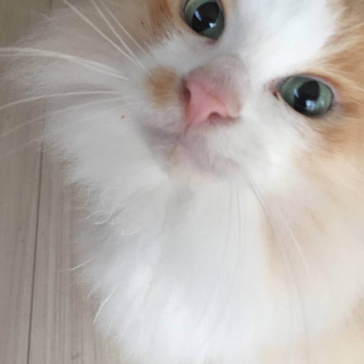 E21e0070 aa81 462f add6 49d5cf59f8d5 1541718676201