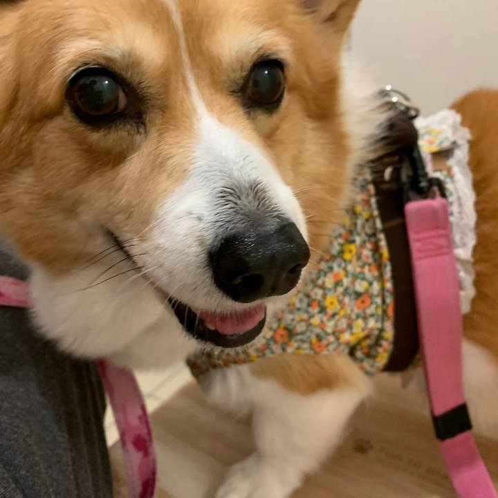 E21e07e0 9870 48dc 8573 44a31c48a615 1670329191917