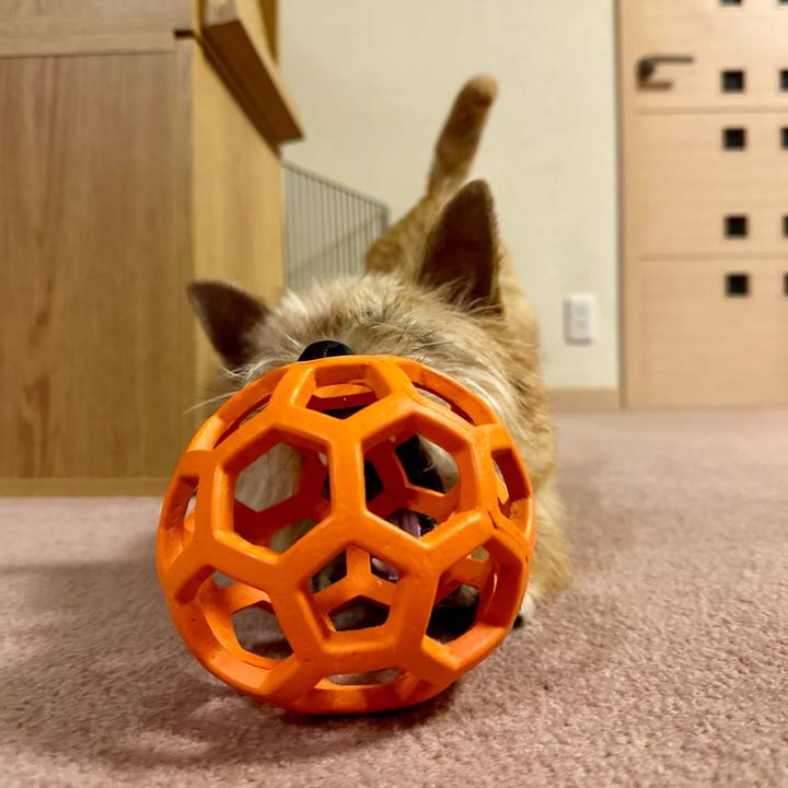 E21e2cf2 7efa 4a33 9aa1 56f1aadfa947 1711111344167