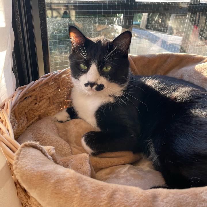 E21e5dd1 0fb4 452c a492 7ac7e6c45c14 1669934345929