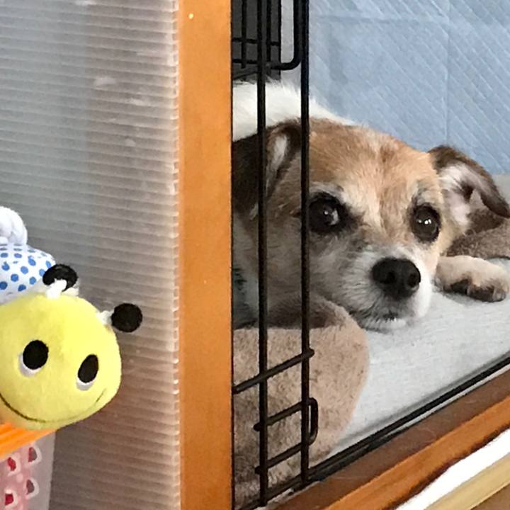 E21e865c a49e 4602 b208 84b6e494c875 1600207204275