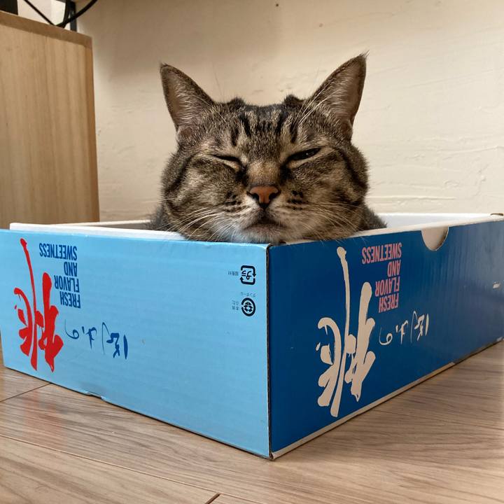 E21e8ded ff54 426f ba80 9b3d2db8af49 1758494042101